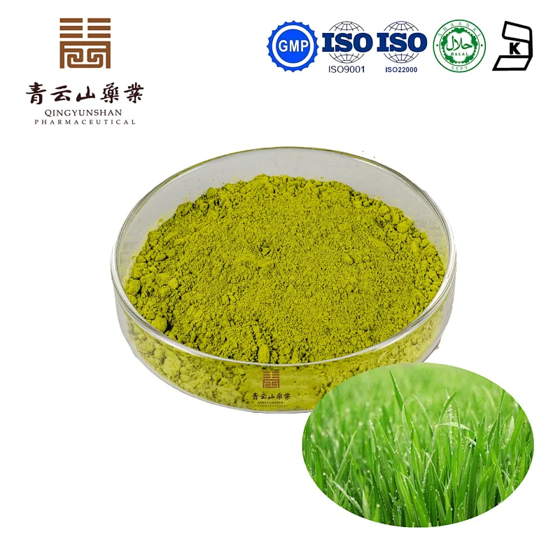 Barley Grass Powder