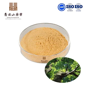 Slippery Elm Bark Powder
