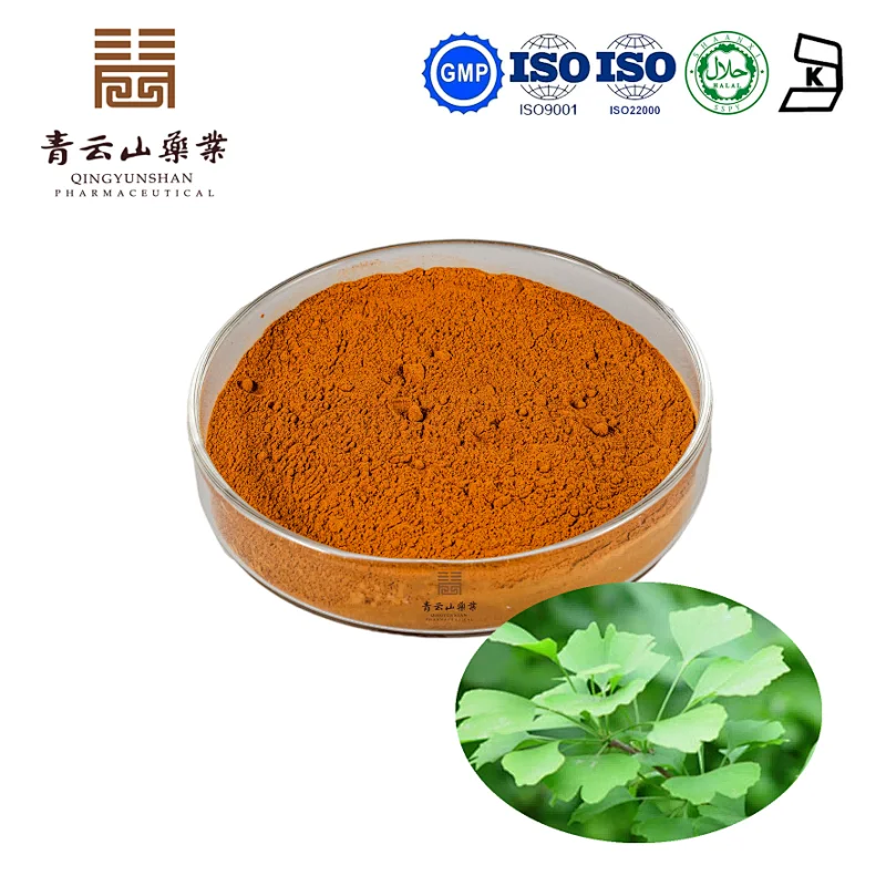 Ginkgo Biloba Extract