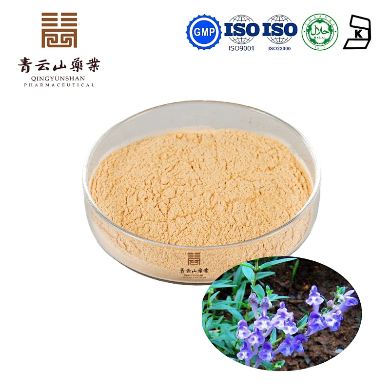 Scullcap Extract