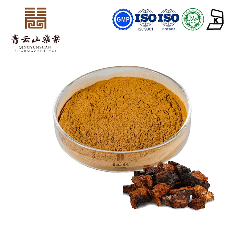 Chaga Mushroom Extract