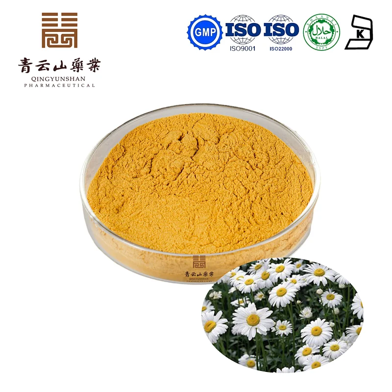 Chrysanthemum Extract