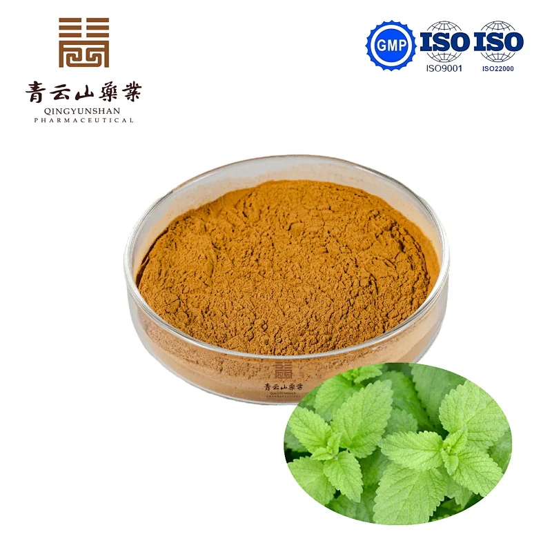 European Nettle Extract
