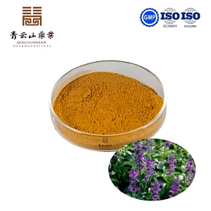 Coleus Forskohlii Extract