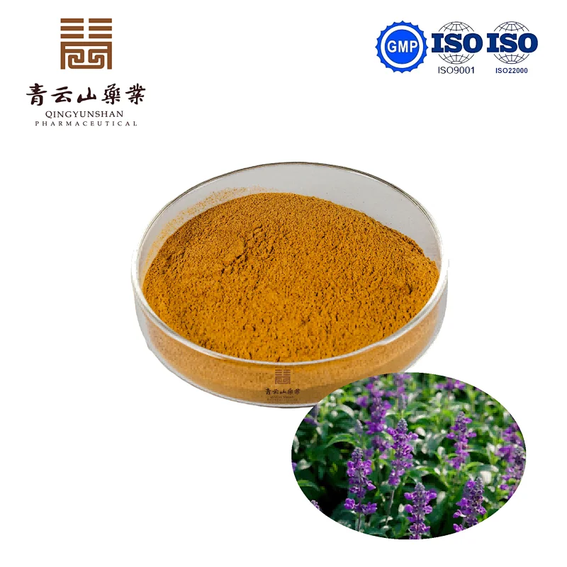 Coleus Forskohlii Extract