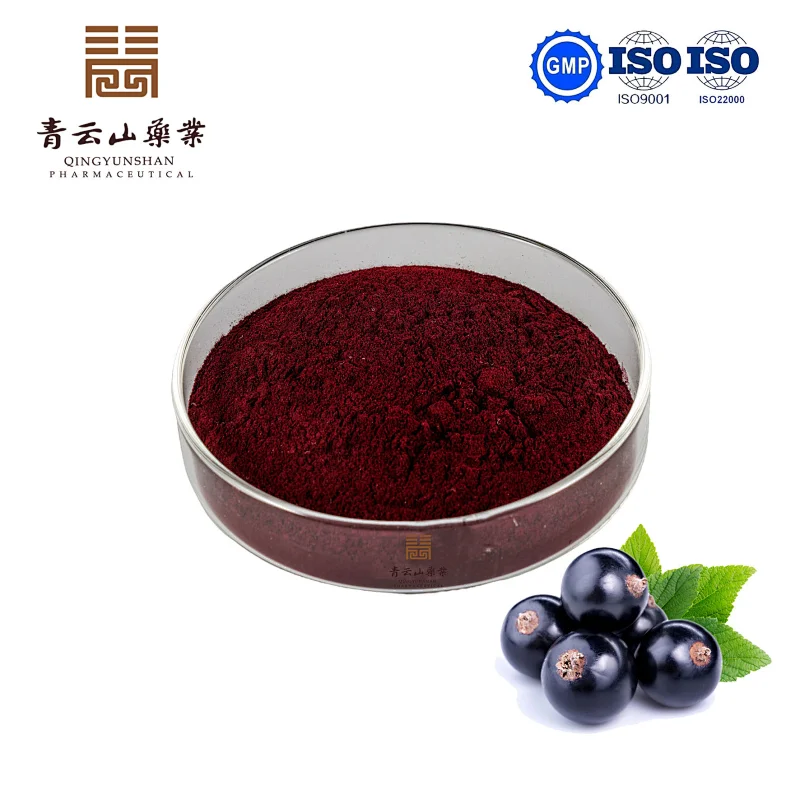 Black Currant SD Powder