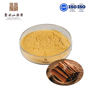 Cinnamon Powder