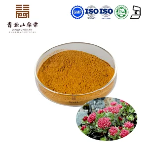 Rhodiola Rosea Extract