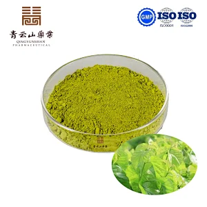 Mulberry Leaf Powder