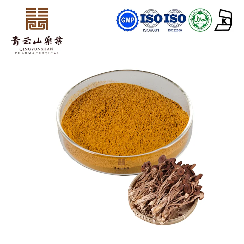 Agrocybe Aegerita Extract