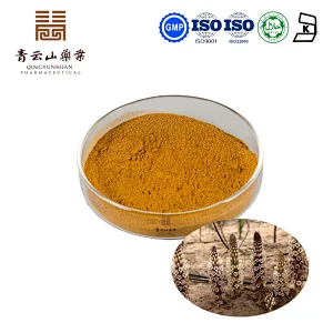 Cistanche Tubulosa Extract