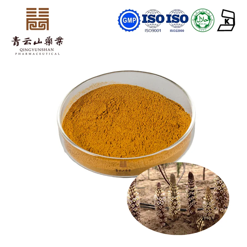 Cistanche Tubulosa Extract
