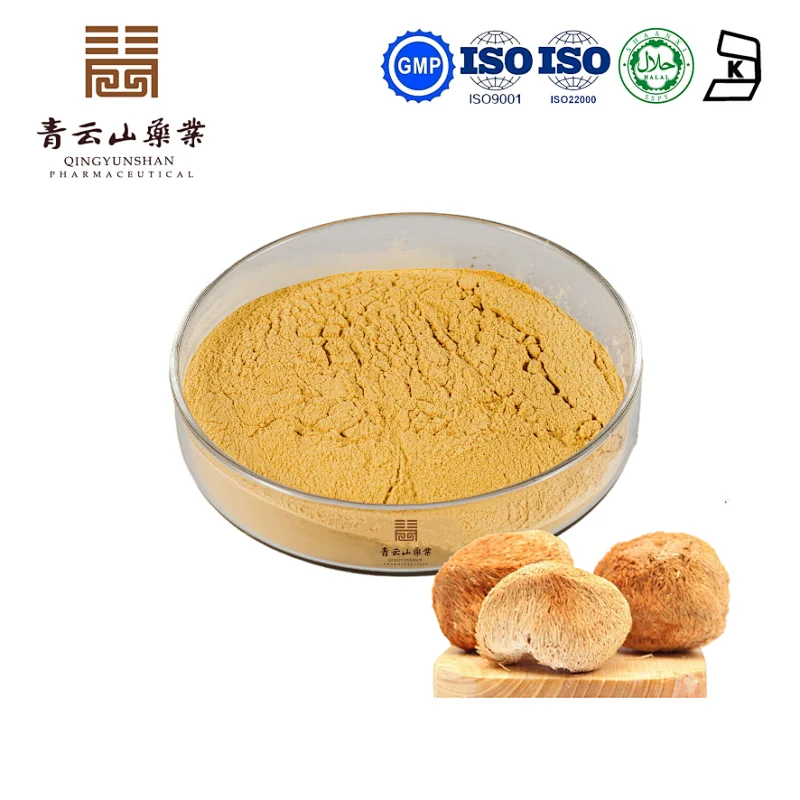 Lion's Mane Mushroom Extract