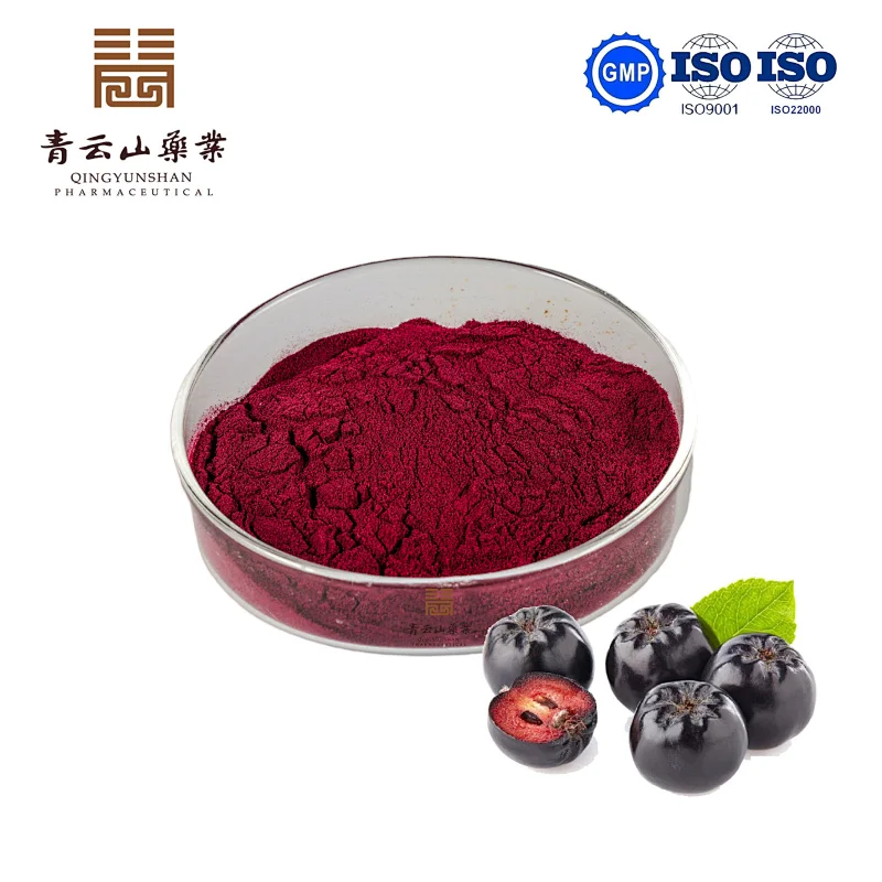 Aronia SD Powder