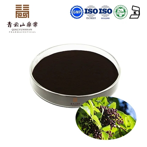 Elderberry (Sambucus) Extract