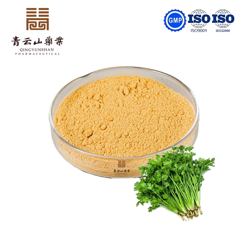 Cilantro Seed Powder