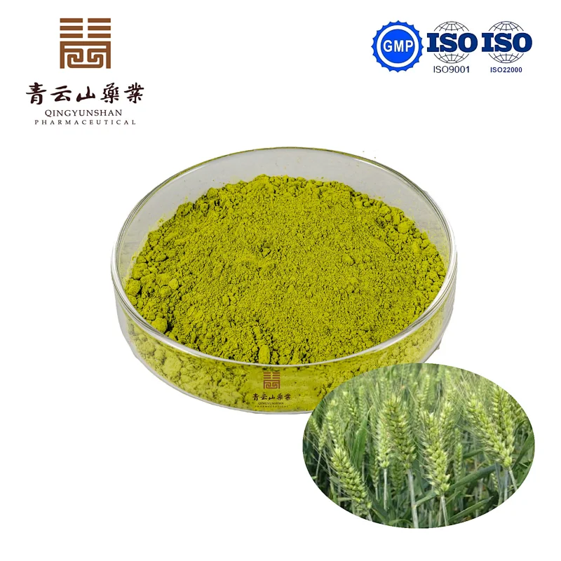 Wheatgrass Powder