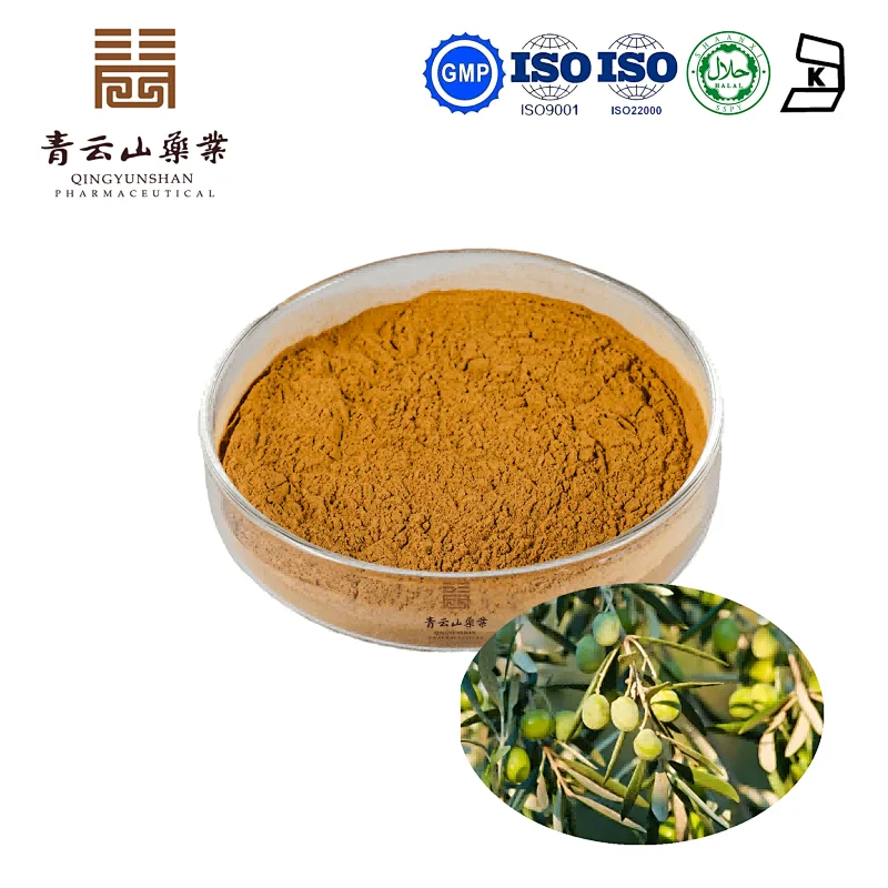 Olive Leaf Extract