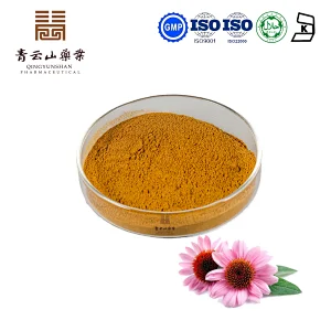Echinacea Extract