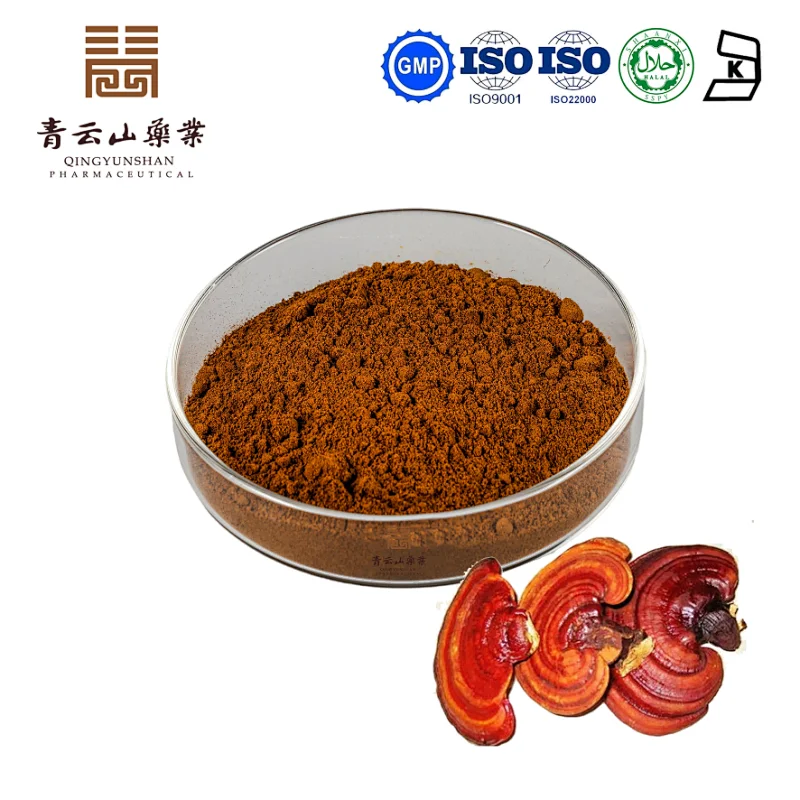 Reishi Mushroom Extract