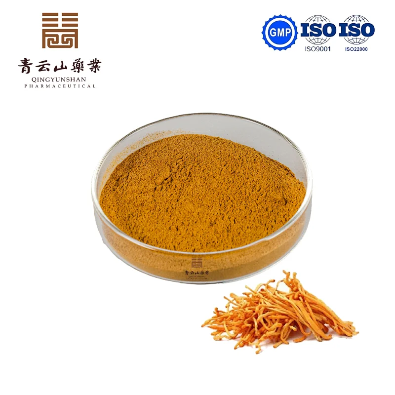 Cordyceps Militaris Powder