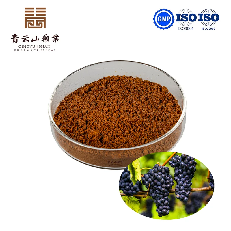 Grape Seed Extract