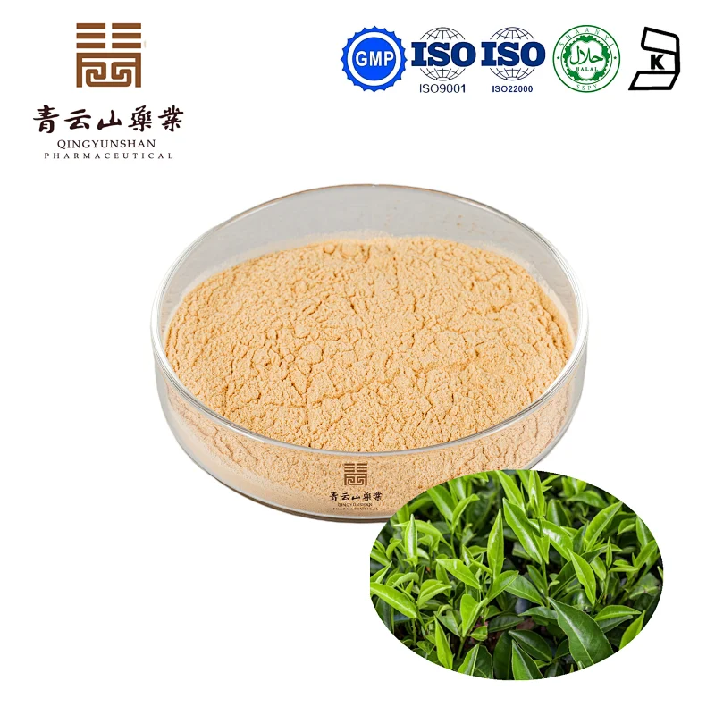 Green Tea Extract
