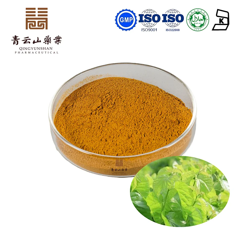 Mulberry Leaf Extract