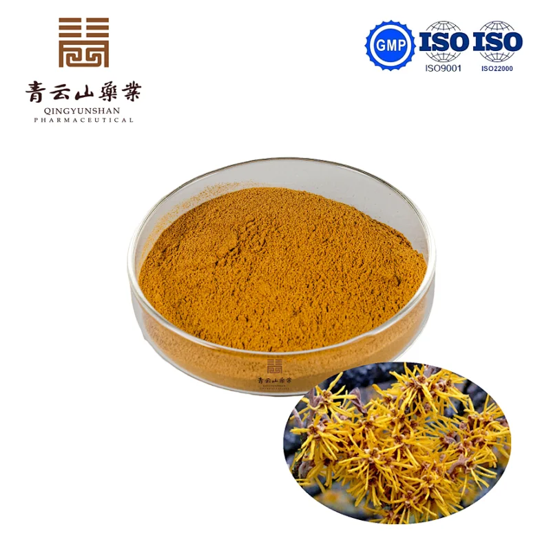 Witch-Hazels Extract