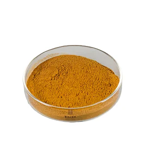 Coleus Forskohlii Extract