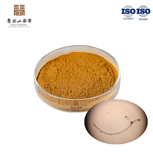 Fermentation Cordyceps Powder