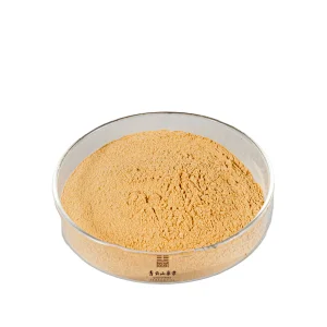 Bitter Apricot Seed Extract