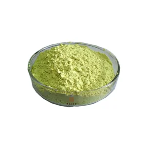 Pumpkin Seed Protein