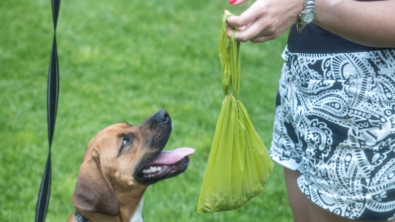 Water Soluble Dog Poop Bags supplier
