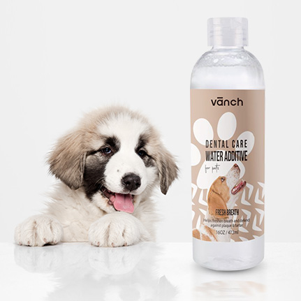 Vanch Geruchsentferner für Haustiere, desodorierendes Haustierspray, 8 oz oder 237 ml
