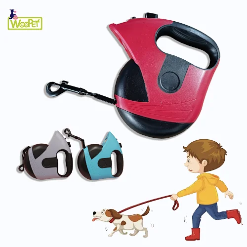 Hot Selling Pet Chain Traction Hooks Leash Modern Novel Design Btinesful Tie-Out Check Cord Long Rope Dog