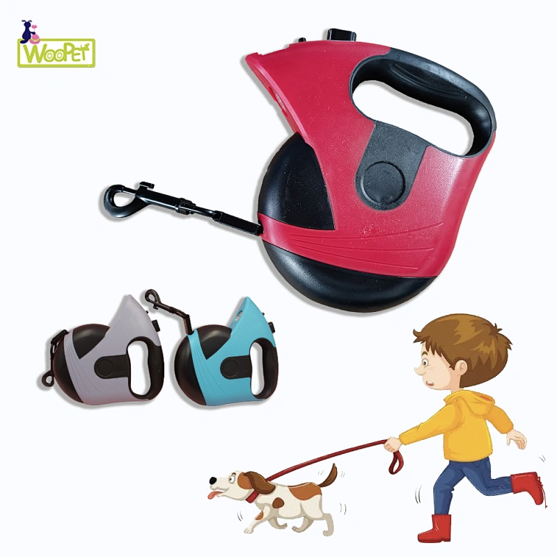 Hot Selling Pet Chain Traction Hooks Leash Modern Novel Design Btinesful Tie-Out Check Cord Long Rope Dog