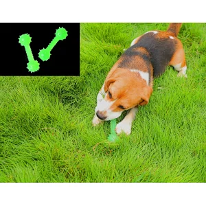Glow In The Dark Food Leakage Interactive Chew Toys Barbell Shaped  From Dog Toys Manufacturers