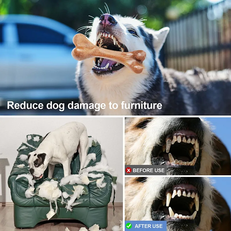 Amazon hot sale coco nuts fiber tough dental aggressive durable chew toy for dogs new design 2022