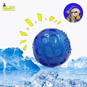 Most popular Indestructible Puppy Pet Cooling squeaky Dog Toys TPR Bite Resistant Chew