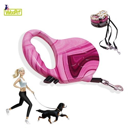 Promotion Candy Cane Toy And Leather Collar Green Rope Dog Leash
