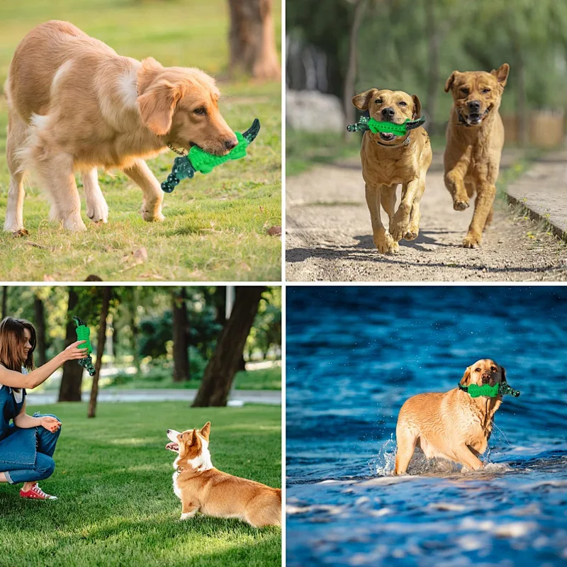 Amazon hot sale nylon toothbrush dog alligator chew toys pet supplies crocodile