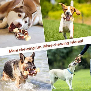 Amazon hot sale nylon tough dental dog pet chew toys for aggressive chewers new design 2022