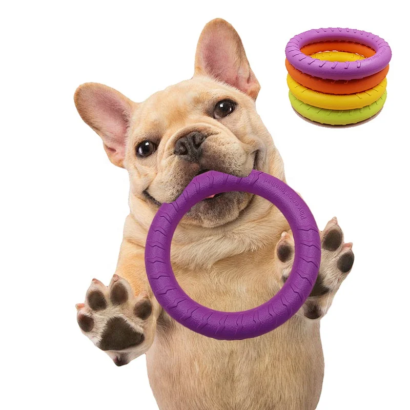 flying disc dog toy