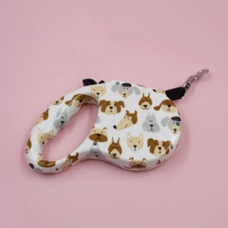 Promotion Candy Cane Toy And Leather Collar Green Rope Dog Leash
