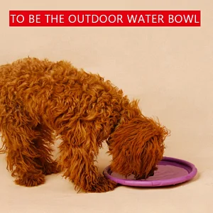 Dog Training Soft Frisbeed Toy Flying Disc Fetch Fun Dog Soft Toy Dog Flying Disc