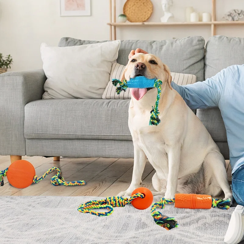 Interactive Training Cotton Rope Tug Buddy Squeaky Dog Chew Toy Set Your Proprietary  Goods  on Amazon