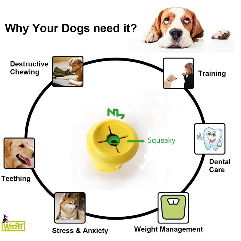 Squeaky funny dog chew toys  voice  interactive dog toys pet toys