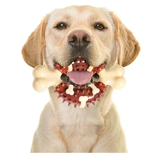 Amazon hot sale nylon tough dental dog pet chew toys for aggressive chewers new design 2022
