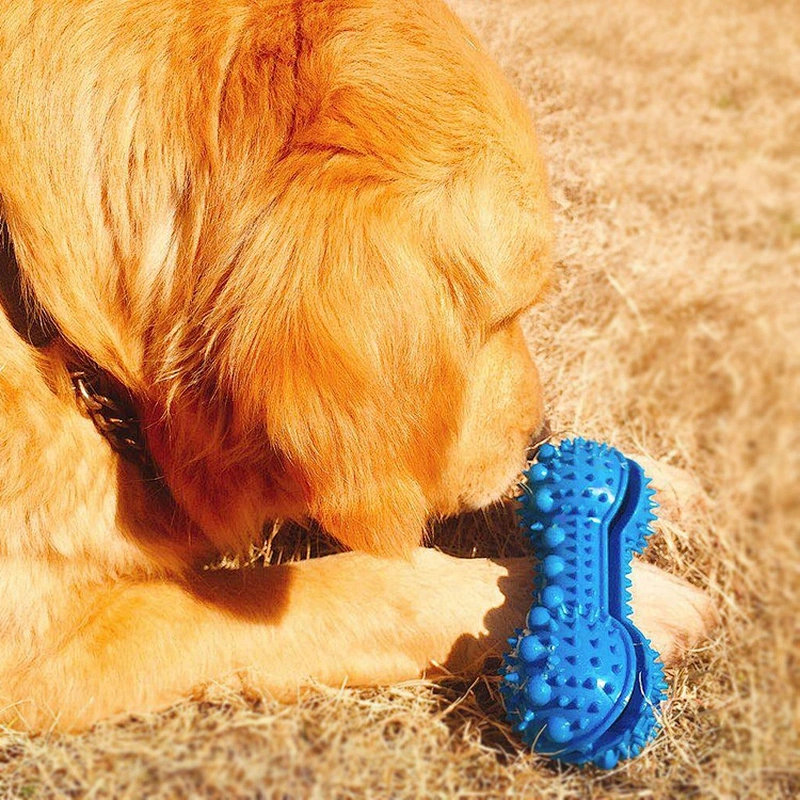 IQ Treat  Dog Toy  Leakage Food Feeder Slow Eat Chew Toy Slow Feeder Dog Puzzle Toys